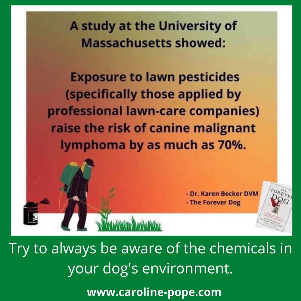 The Hidden Chemicals in Your Kitchen That Are Disrupting Your Hormones