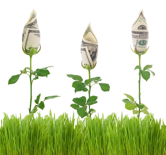 The Ultimate Guide to Passive Income Through Dividend Stocks for Beginners