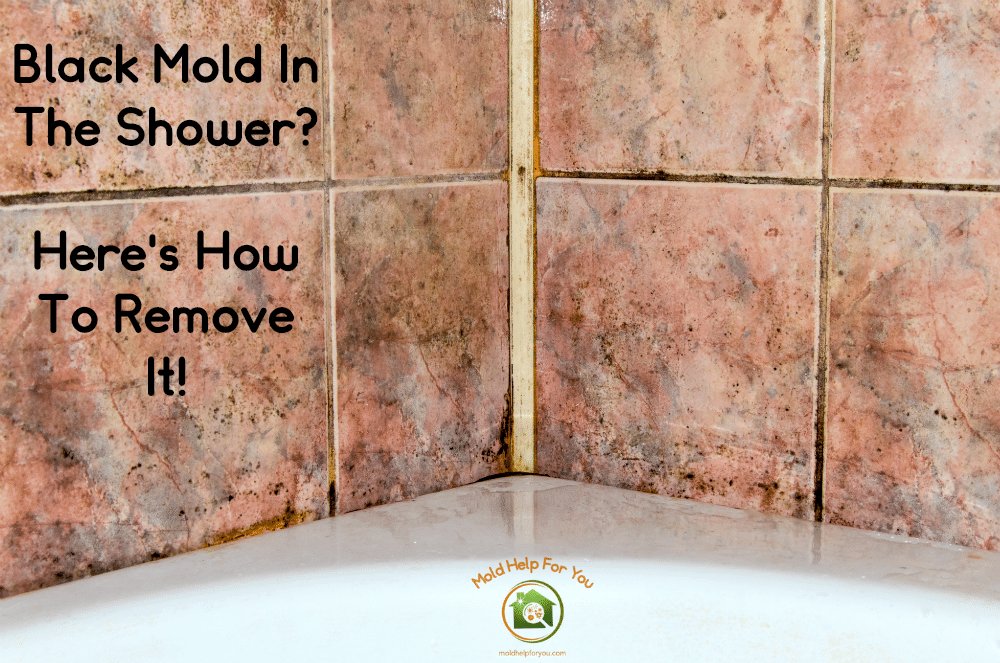 How to Remove Mold and Mildew from Bathroom Tiles Without Harsh Chemicals