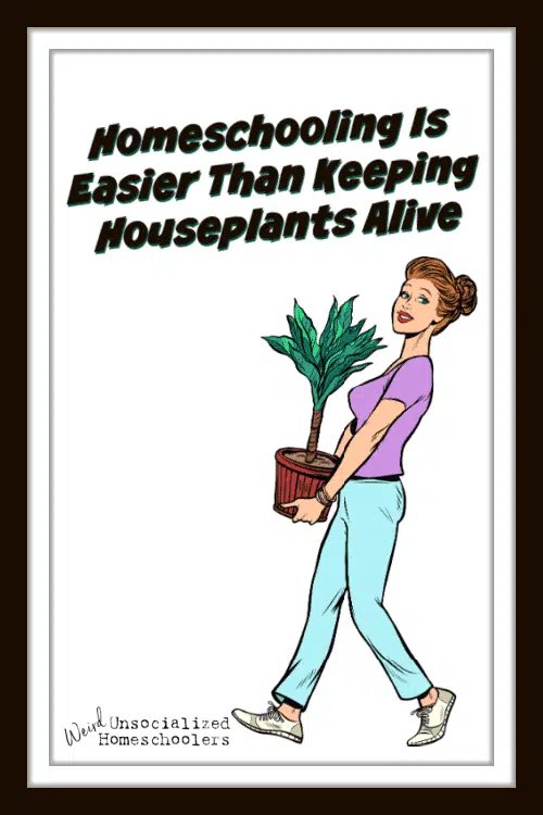 The Ultimate Guide to Keeping Houseplants Alive for Absolute Beginners
