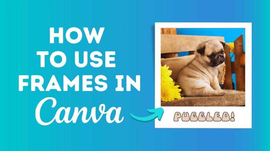 How to Use Canva to Create Professional Designs in Minutes
