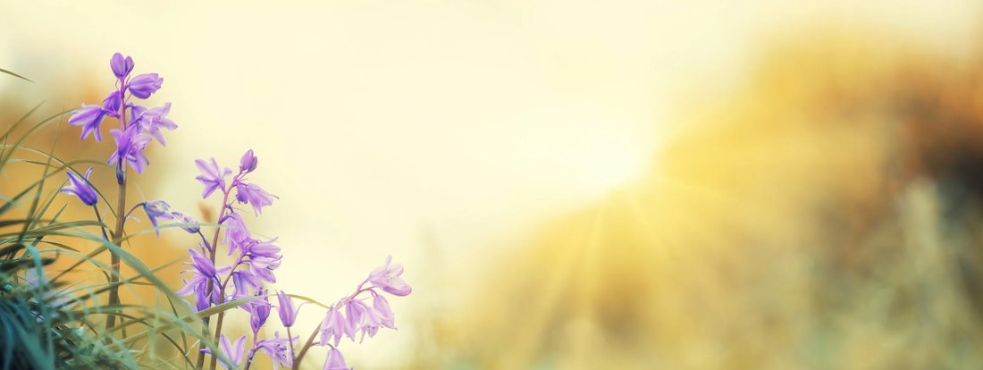Hidden Signs of Vitamin D Deficiency Often Confused with Chronic Fatigue