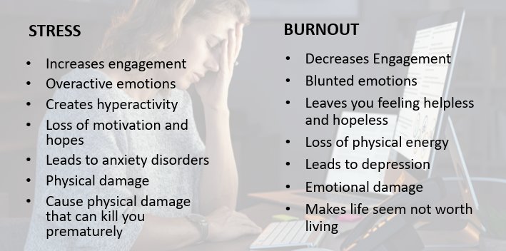 Mental Burnout vs. Stress: How to Tell the Difference and Truly Recover