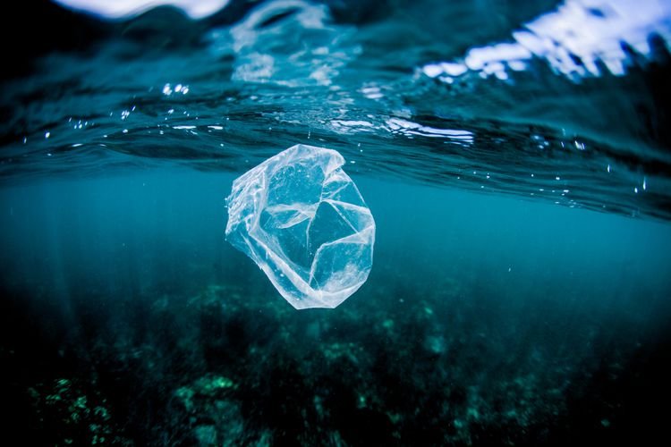 Why You Should Stop Using Plastic Containers in the Microwave: Shocking Health Risks Revealed