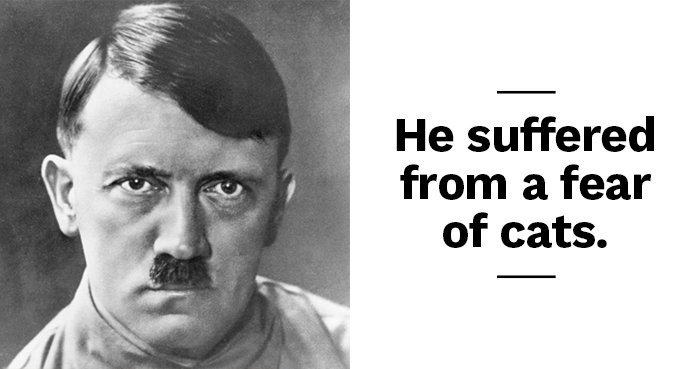 Shocking Facts About Adolf Hitler Not Taught in School: The Hidden Truths of History's Darkest Figure
