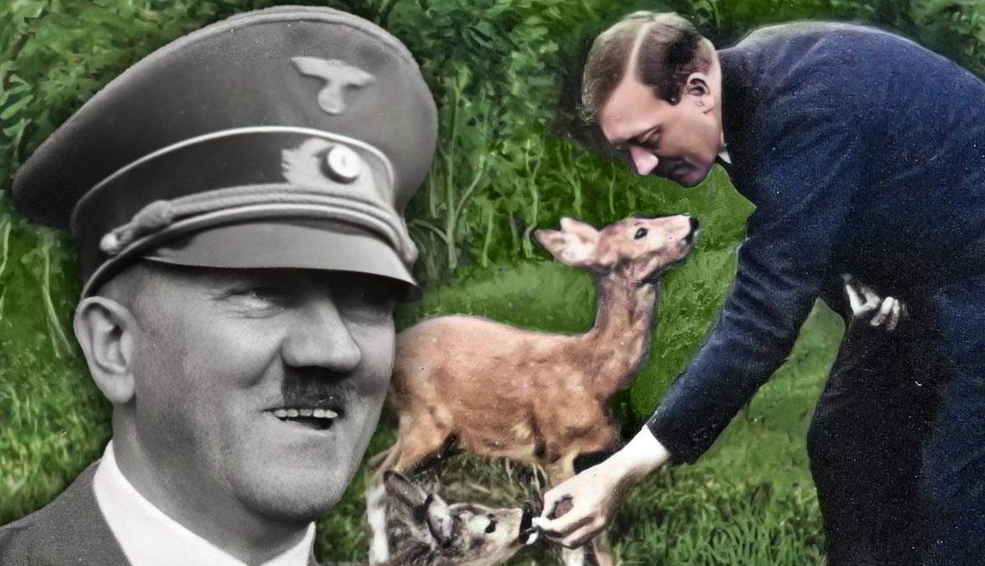 Shocking Facts About Adolf Hitler Not Taught in School: The Hidden Truths of History's Darkest Figure