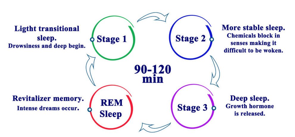 The Science of Sleep: How to Fix Your Sleep Cycle in One Week for Good