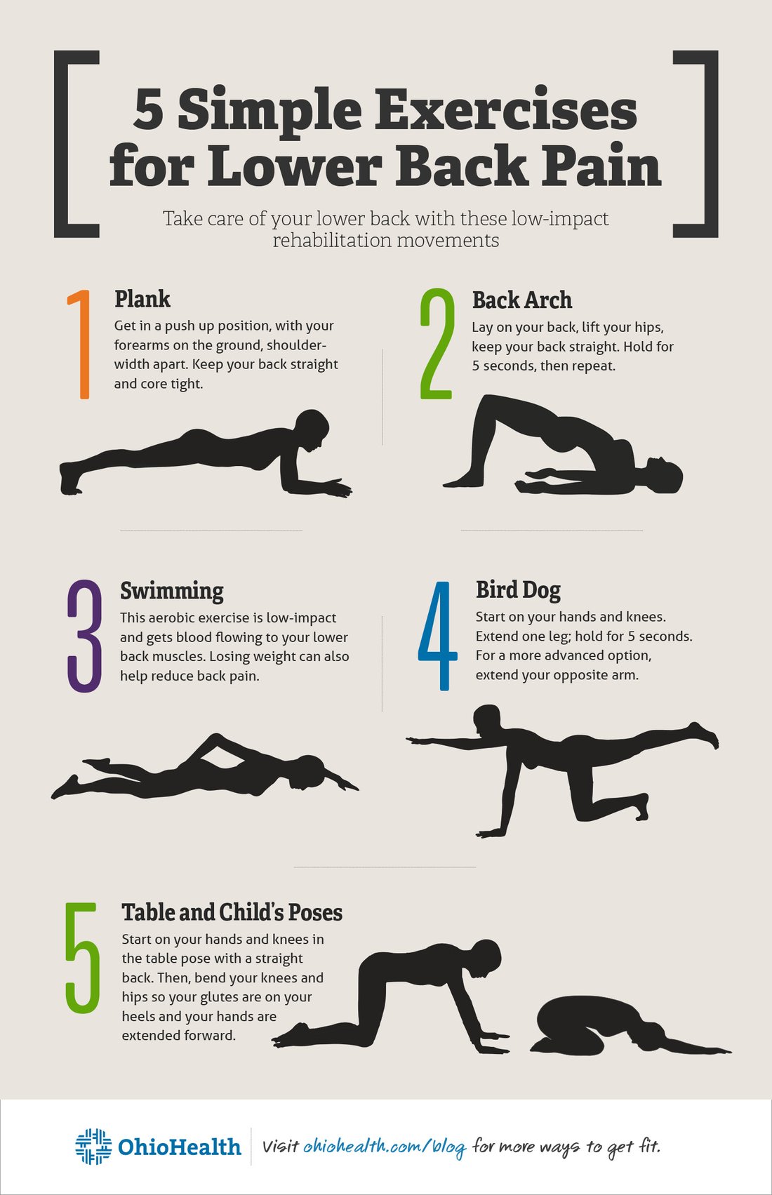 Best Home Exercises to Fix Lower Back Pain and Improve Spine Posture
