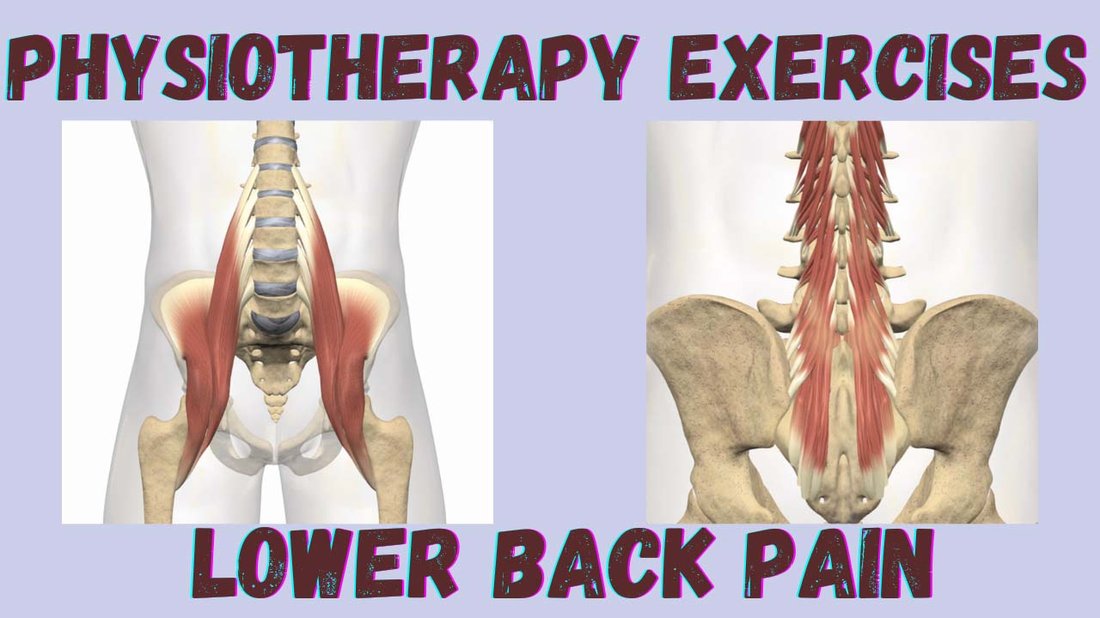 Best Home Exercises to Fix Lower Back Pain and Improve Spine Posture