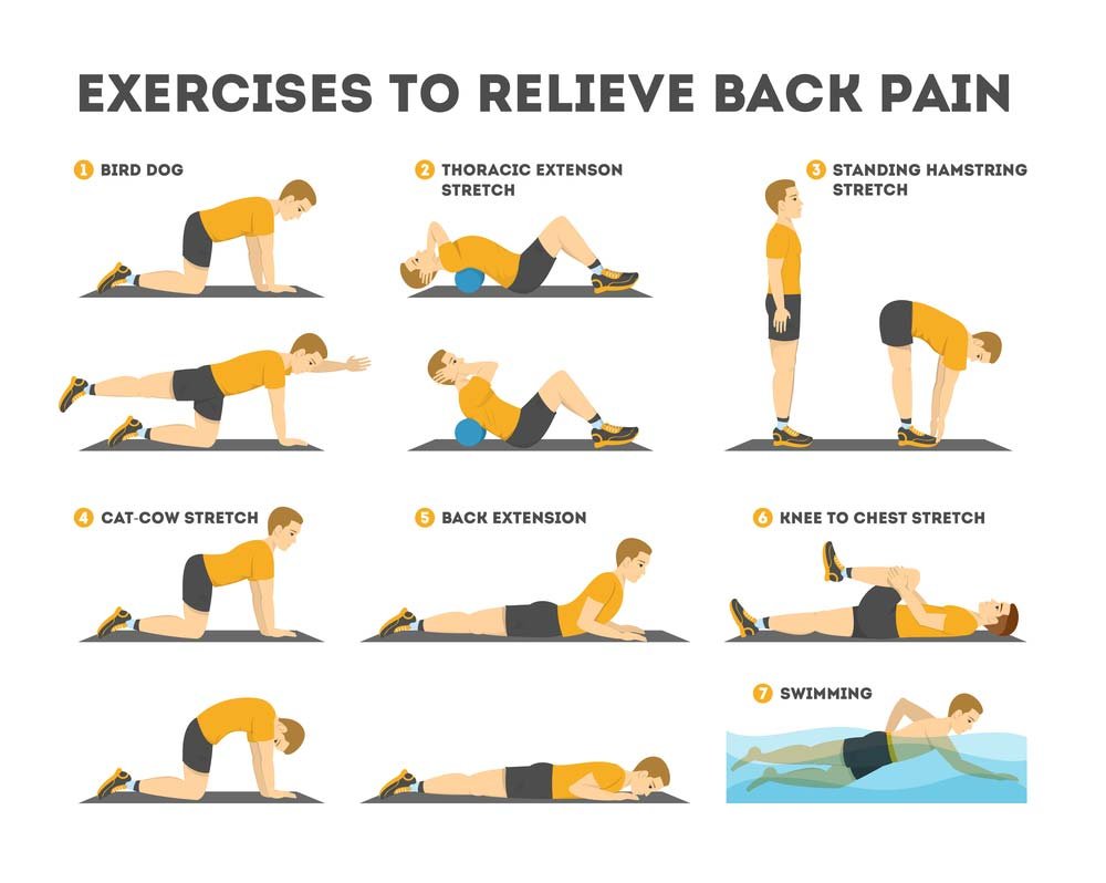 Best Home Exercises to Fix Lower Back Pain and Improve Spine Posture