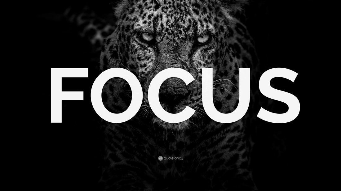 Why Modern Apps Are Designed to Break Your Focus and How to Fight Back