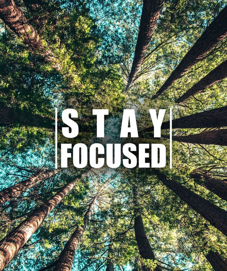 Why Modern Apps Are Designed to Break Your Focus and How to Fight Back