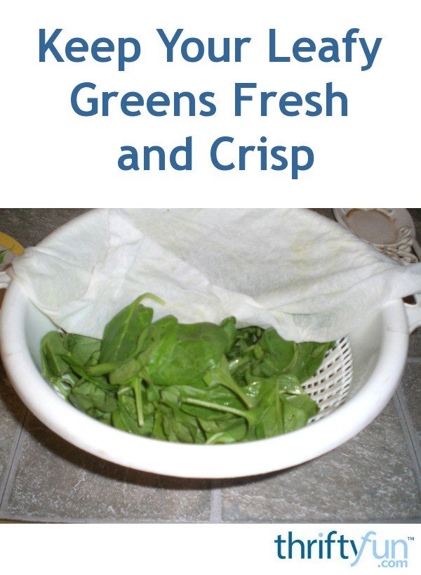 How to Keep Leafy Greens Fresh in the Refrigerator for Twice as Long