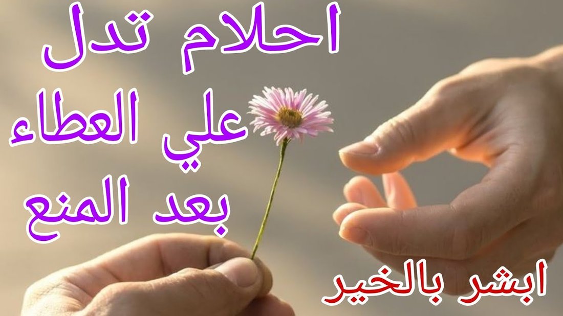 كيفية الربح من برمجة التطبيقات حتى لو لم تكن محترفا