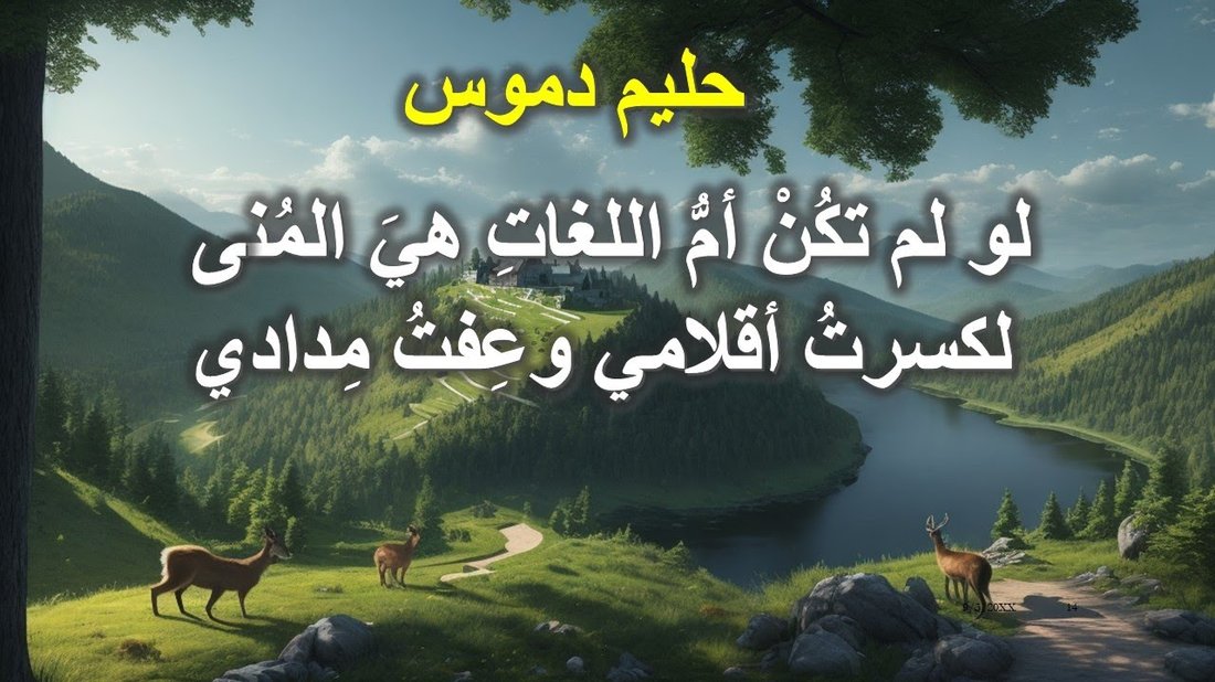 كيفية الربح من برمجة التطبيقات حتى لو لم تكن محترفا