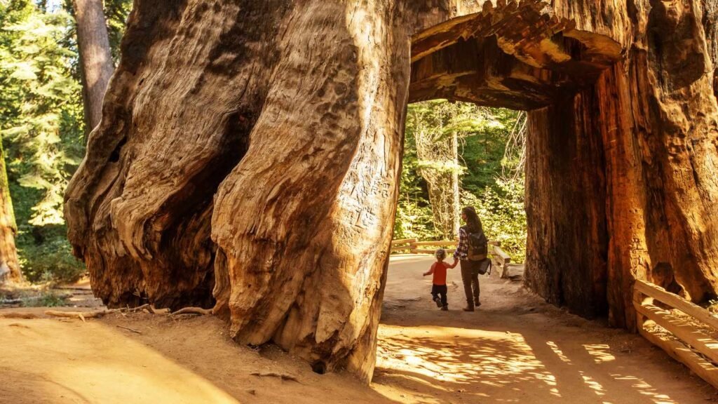 10 Most Dangerous Tourist Destinations in the World