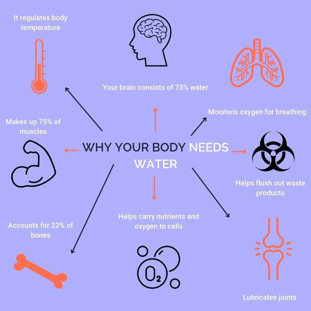 Why Your Body Needs More Salt Than You Think for Peak Performance