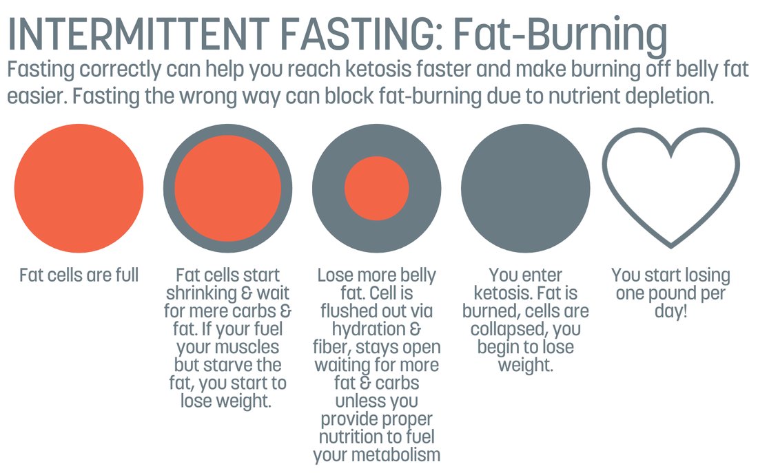 Intermittent Fasting for Beginners: How to Burn Fat Without Feeling Hungry