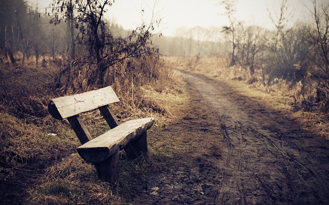 Why Your Smartphone is Making You Lonelier: Proven Ways to Reconnect and Thrive