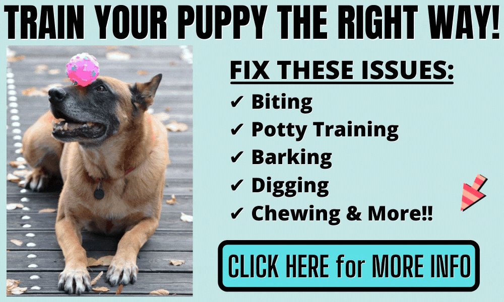 How to Train Your Puppy to Stop Biting and Barking in Less Than 2 Weeks