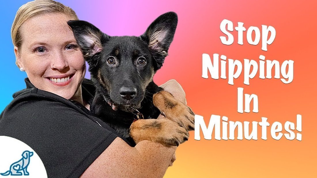 How to Train Your Puppy to Stop Biting and Barking in Less Than 2 Weeks