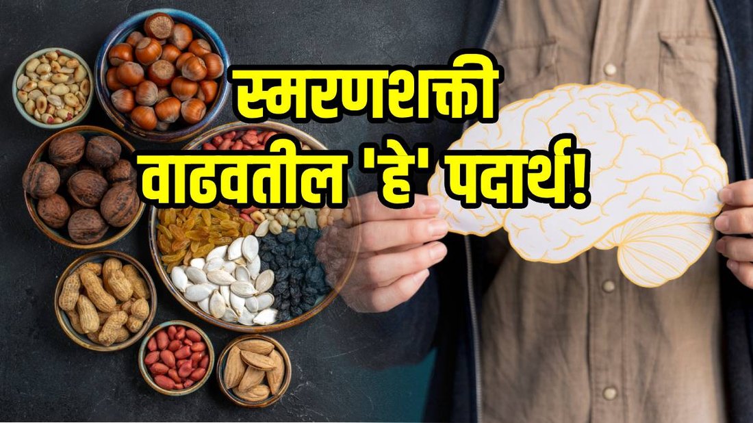 10 Best Foods to Boost Concentration and Memory During Exam Periods