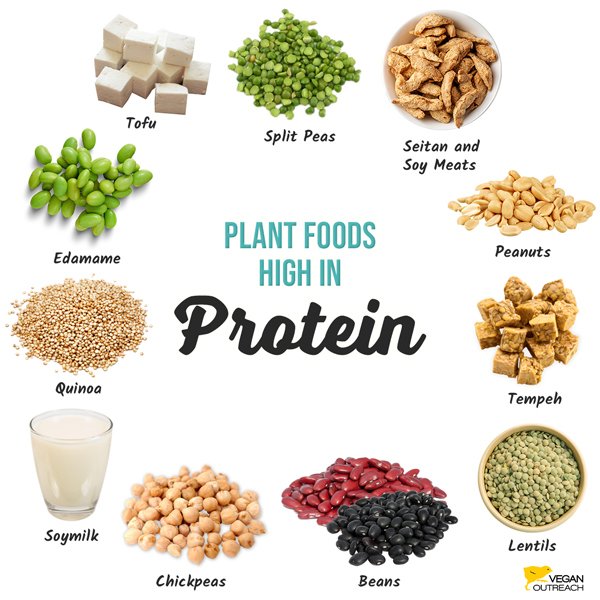 The Best Protein Sources for Vegans Who Want to Build Serious Muscle