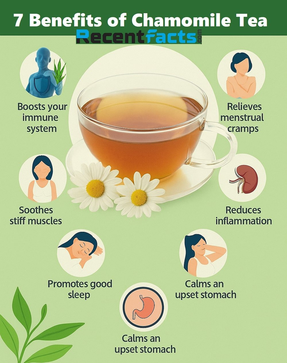Amazing Benefits of Chamomile Tea for Mental Health and Nerve Growth