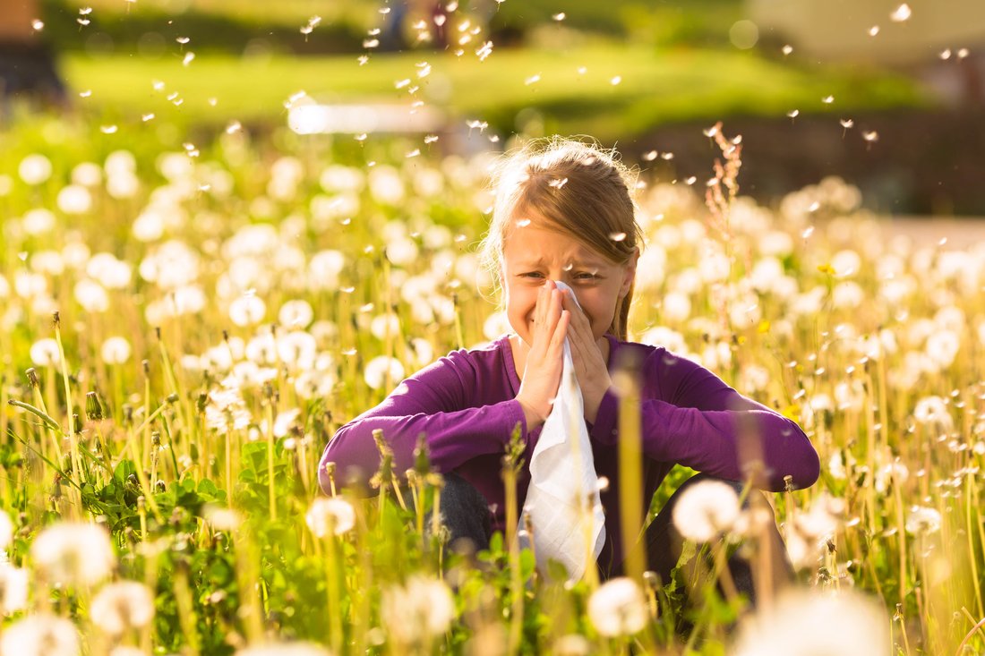 How to Control Seasonal Allergy Symptoms Without Using Chemical Drugs