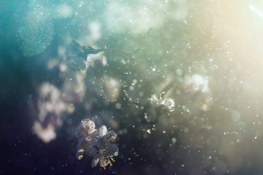 How to Control Seasonal Allergy Symptoms Without Using Chemical Drugs