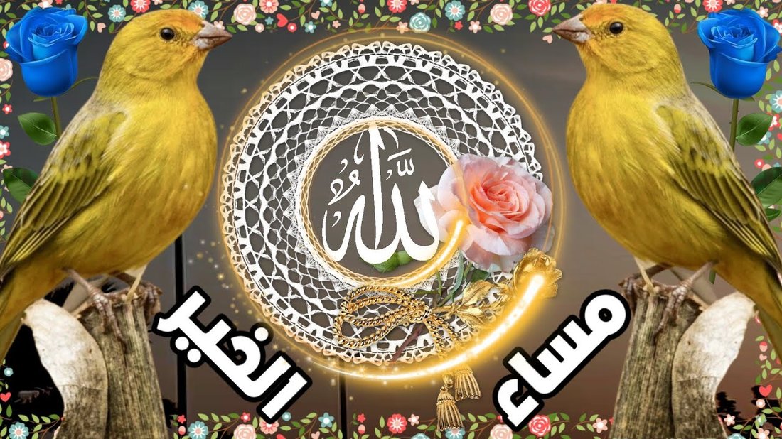 أفضل أنواع المقالي والقدور التي يجب أن تتوفر في كل مطبخ