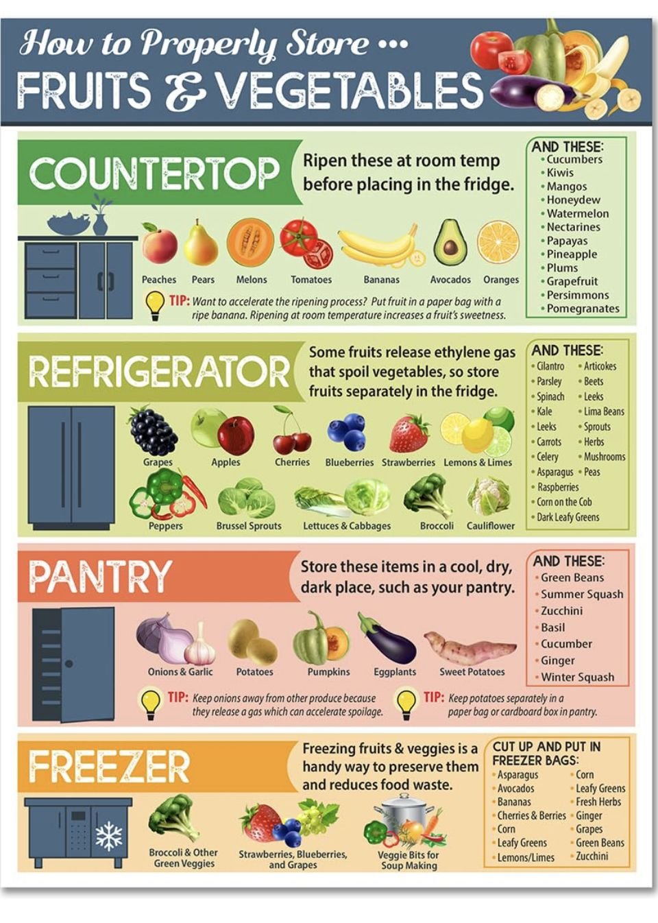 The Best Way to Store Fruits and Vegetables to Make Them Last Longer