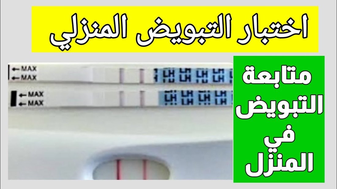 طريقة عمل الخبز المنزلي بدون فرن وبنتائج مذهلة