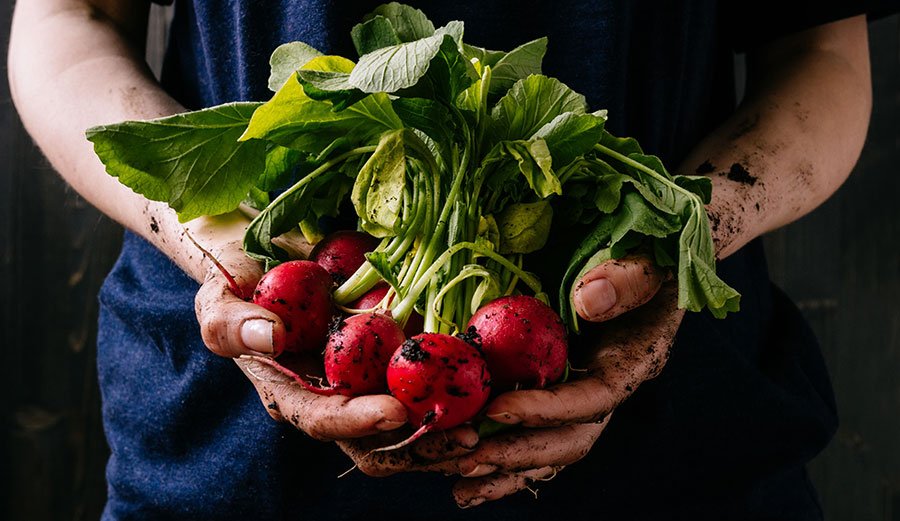 The Truth About Organic Food: What’s Actually Worth the Price?