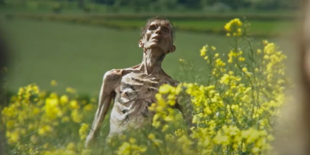 28 Years Later: Cillian Murphy's Shocking Return Confirmed – The Zombie Apocalypse Sequel Fans Have Waited 22 Years For! 3
