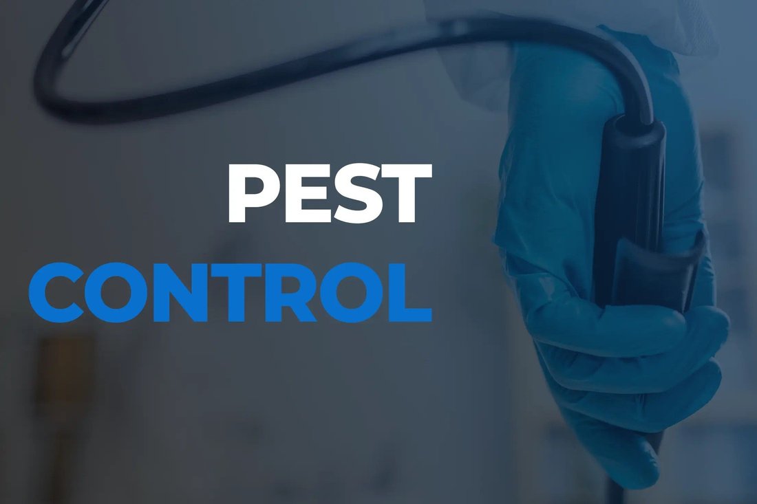 The Complete Guide to Natural Pest Control in Your Garden