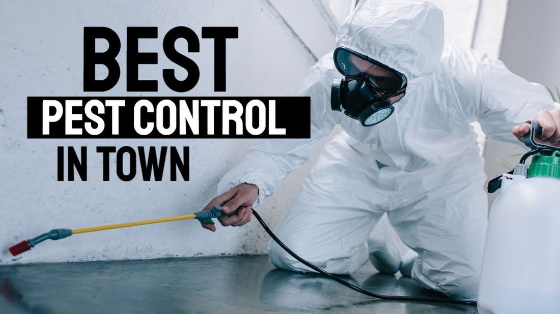 The Complete Guide to Natural Pest Control in Your Garden