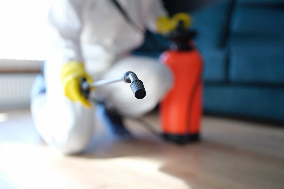 The Complete Guide to Natural Pest Control in Your Garden