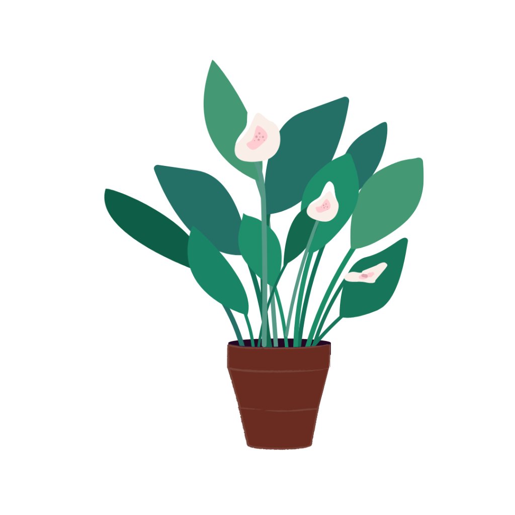 The Complete Guide to Container Gardening for Small Spaces