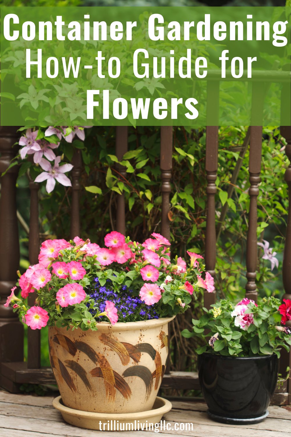 The Complete Guide to Container Gardening for Small Spaces