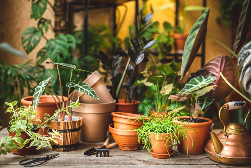 The Complete Guide to Container Gardening for Small Spaces