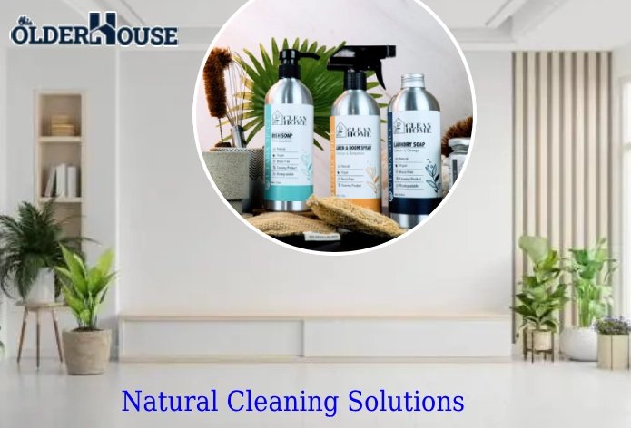 Natural Cleaning Solutions You Can Make at Home: Eco-Friendly Recipes for Every Room