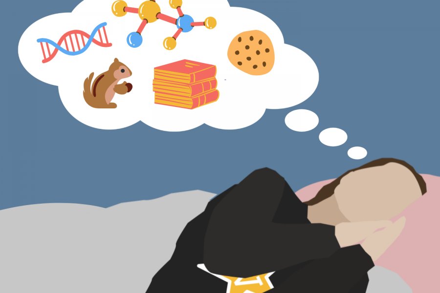 The Science Behind Why We Dream: Unraveling the Mysteries of Our Nightly Adventures