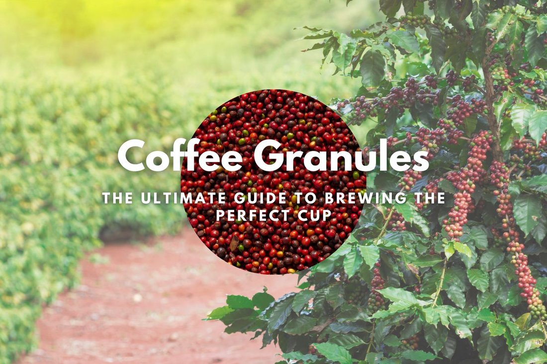 The Ultimate Guide to Brewing the Perfect Cup of Coffee at Home