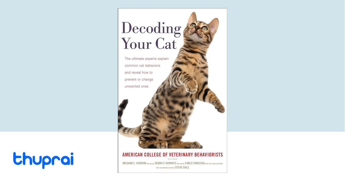 Decoding Your Sleep Patterns: What Your Body Is Really Telling You