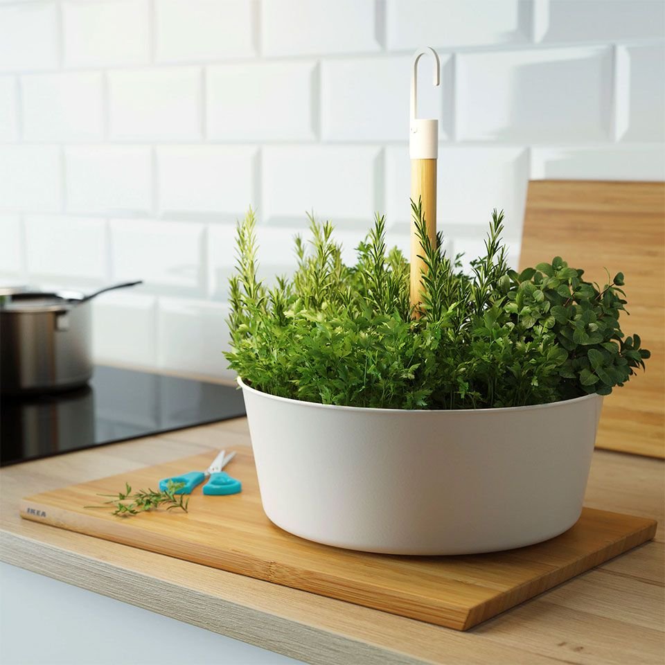 The Ultimate Guide to Growing Herbs Indoors Year-Round