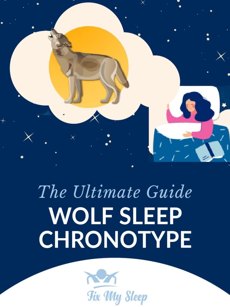 The Sleep Chronotype Guide: Are You a Lion, Bear, Wolf, or Dolphin?