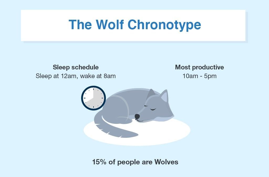 The Sleep Chronotype Guide: Are You a Lion, Bear, Wolf, or Dolphin?