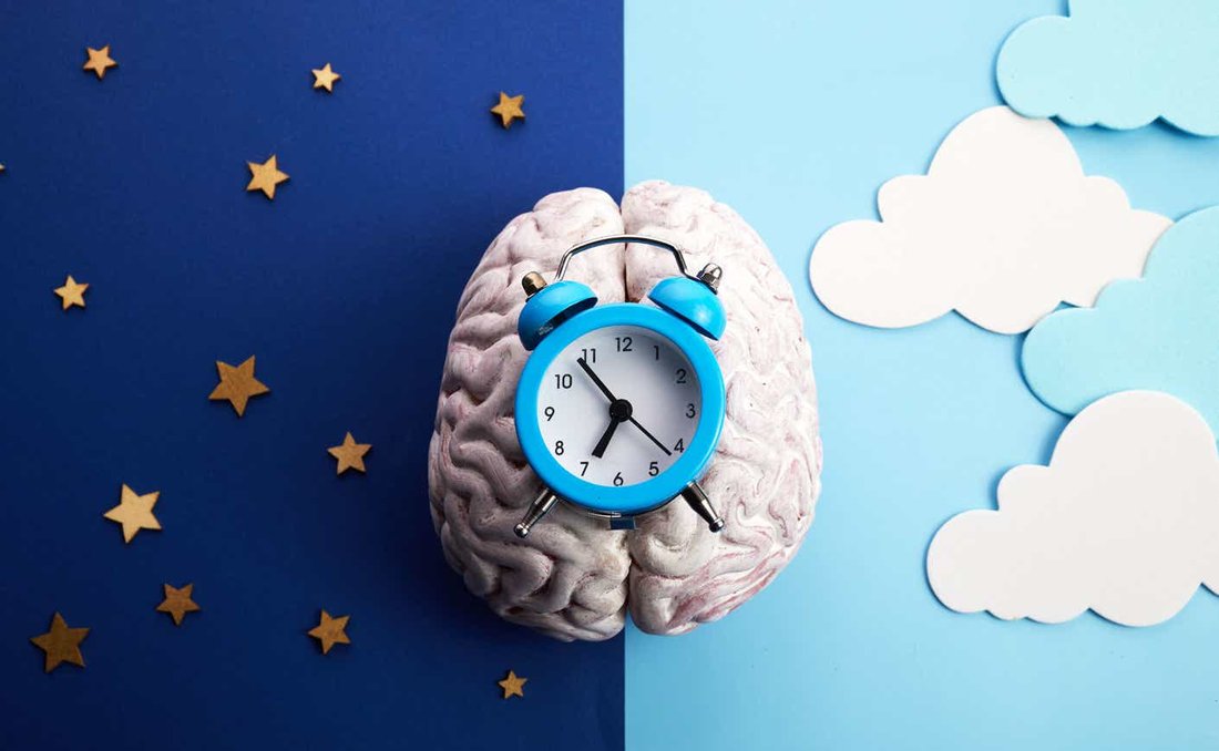 The Sleep Chronotype Guide: Are You a Lion, Bear, Wolf, or Dolphin?