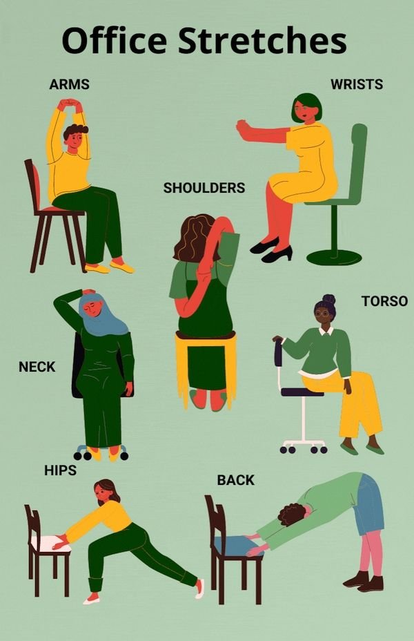 Desk Stretches: 7 Easy Exercises to Combat Sitting All Day